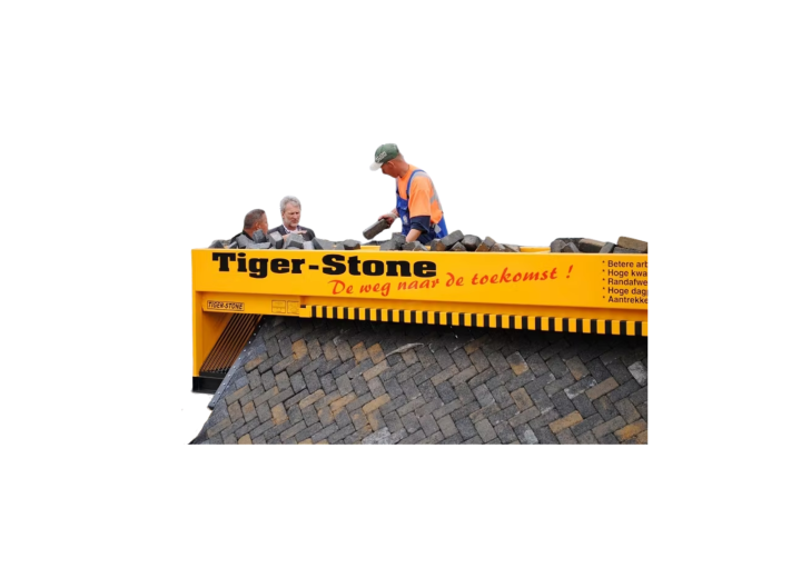 Tiger-Stone (max 6m)